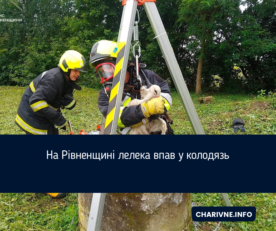 Фото ілюстративне